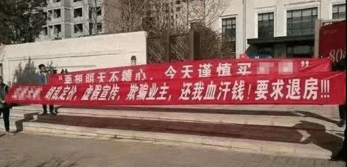 图片内容