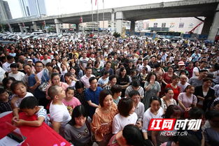 万家丽展会现场人潮涌动