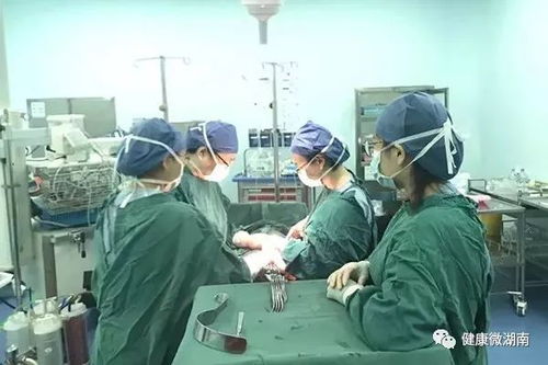 手术室中的医生团队正在紧张操作
