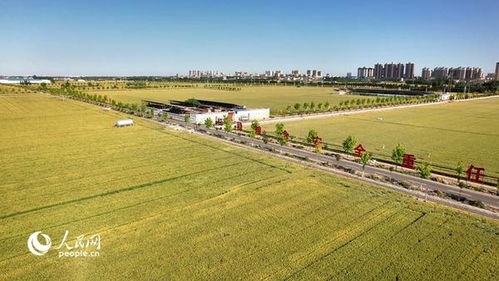 中原崛起正当时，奋力谱写中国式现代化新篇章