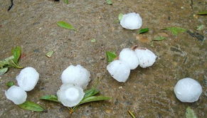 广东冰雹比鸡蛋还大的AI合成图