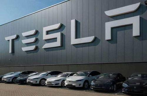特斯拉门店冷清