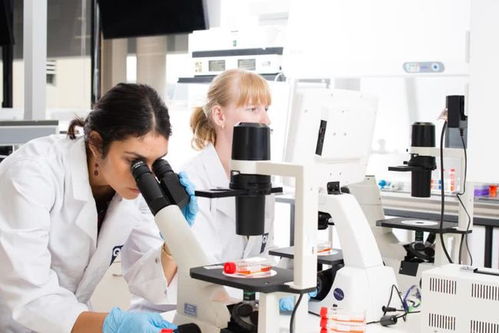 精准追踪隐匿传播：汉坦病毒IgG检测黑科技如何革新疫病研究？