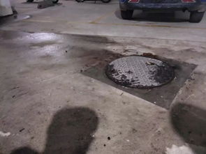 掉化粪池遇难男生妈妈殡仪馆晕倒，悲剧背后谁之过？