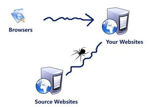蜘蛛抓取频率监控图