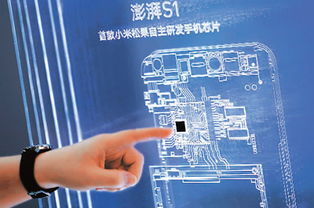 中国自主研发芯片展示图