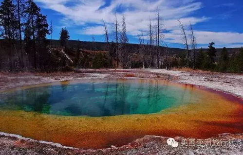 江西女子12楼坠落奇迹生还：生死一线间的惊魂瞬间