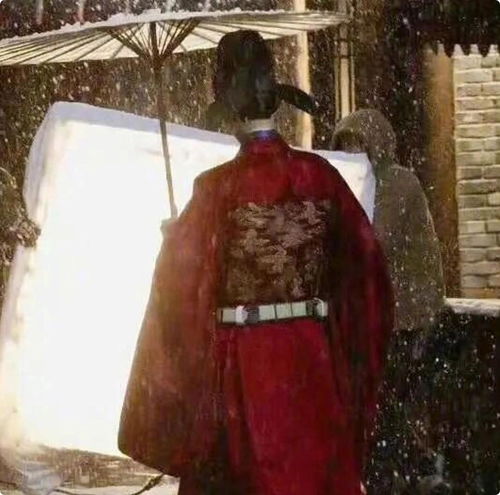 藏海传剧照宫廷场景