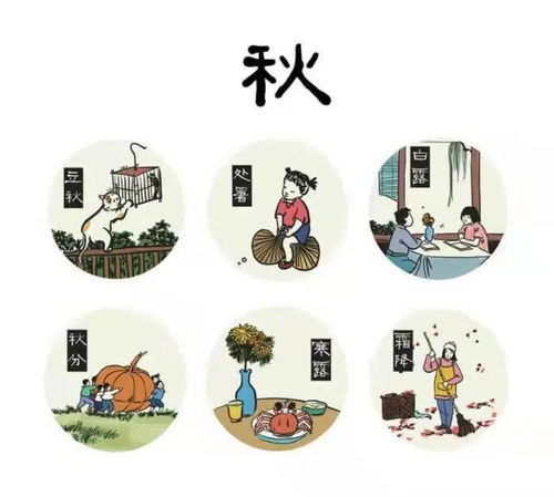 现代年轻人体验传统节气文化