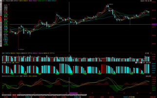 投资者在电脑前分析股市走势图