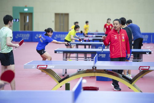 国乒教练组指导训练