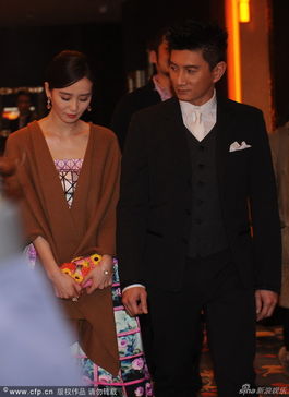 吴奇隆刘诗诗一起出席活动合影