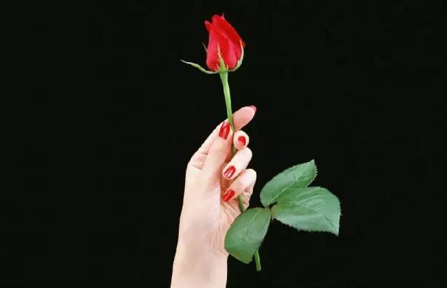 手捧红色玫瑰纪念逝者