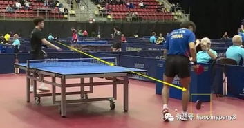 球迷在社交媒体上热议王楚钦事件