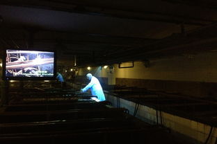 青岛啤酒博物馆夜晚灯光璀璨的场景