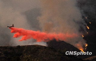 有图就有真相吗？警惕AI图片造假，我差点被骗了！