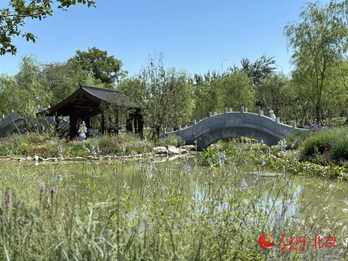 重庆清河之源滨水公园实景图