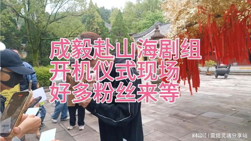 《赴山海》风波不断：成毅剧组遇突发状况，粉丝集体焦虑！