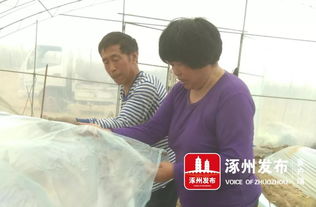 记者低头写作的背影