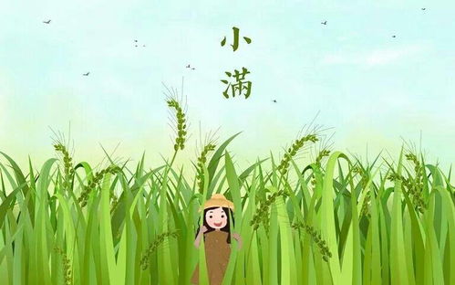 小满时节宜吃苦｜养生有道，跟着节气来调养