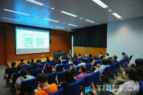 临沂博物馆讲座现场