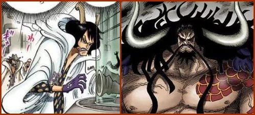 贝加庞克五人组形象曝光