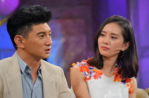 吴奇隆与刘诗诗公司股权变动新闻截图