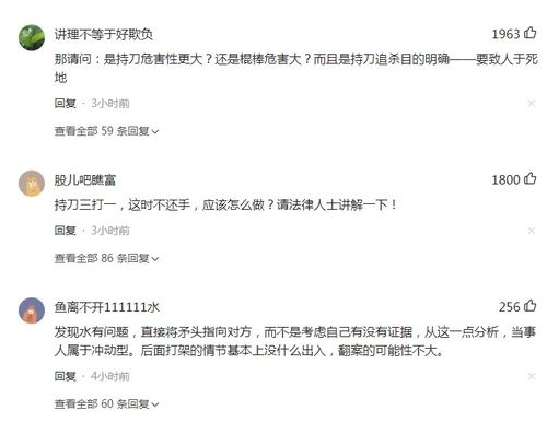 网络评论区关于正当防卫讨论截图