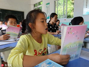 让青春在中国式现代化建设中绽放光彩：我的选择与担当