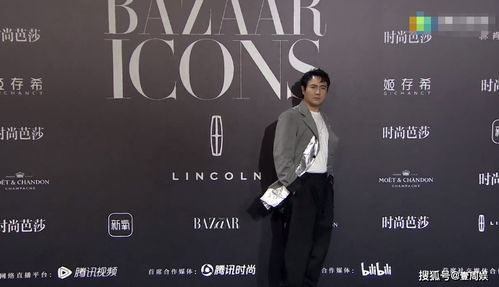 刘诗诗红毯造型优雅迷人