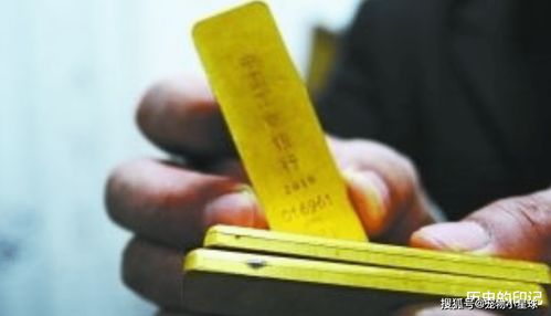 百万买黄金！大爷嫌银行利息低，6斤金条押手里，真聪明还是冒险？