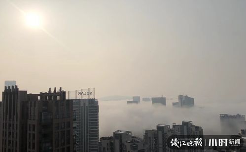 钱塘江被围起不给钱不给看？假的！真相曝光，网友直呼太离谱