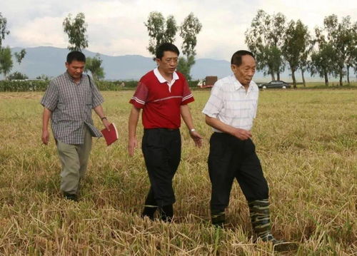 朱媛媛与家人合影照片