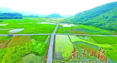 农民在田间查看水渠