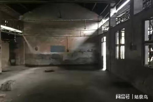 楔子 · 铁圈之门：一段尘封记忆的开启