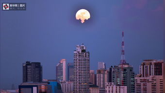 一轮半圆的月亮悬挂在夜空中