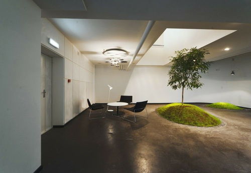 阳光照进办公室象征希望