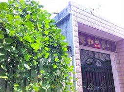 黄杨家门口新开的公司招牌