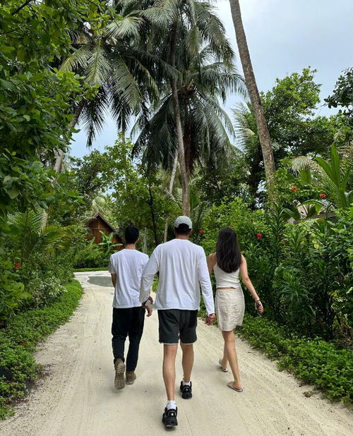 朱媛媛一家四口出游合照