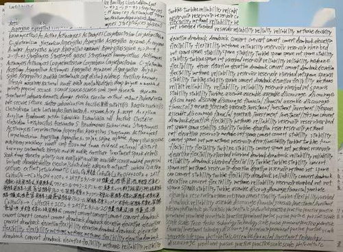 笔记本上写着密密麻麻的文字和涂鸦