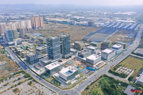 浙江广厦崛起背后：一场时代的悄然变革