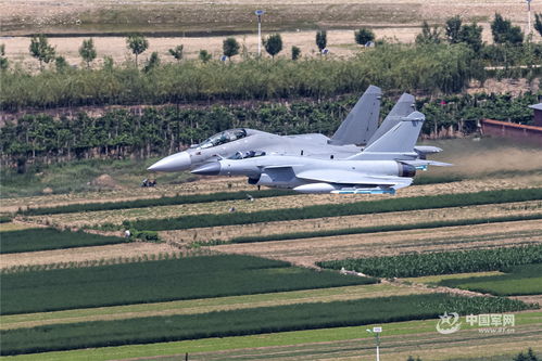 和平鸽飞越中东城市上空概念图