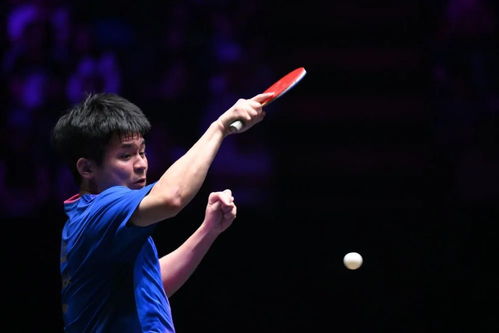 林诗栋在比赛中专注击球