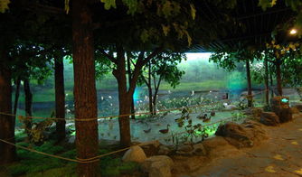 长白山自然博物馆内景