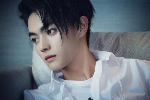 许凯粉丝在社交平台留言支持偶像