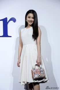 赵丽颖恋情绯闻再起？粉发长裙现身引热议，工作室未回应