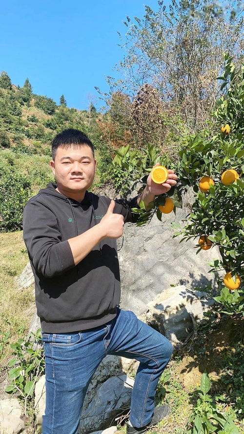 赣南脐橙为何能连续十一年稳坐水果界“头把交椅”？