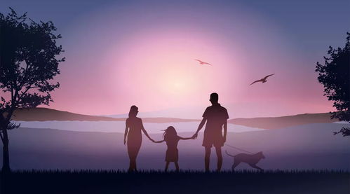 反思实践录378：在失败中寻找成长的力量