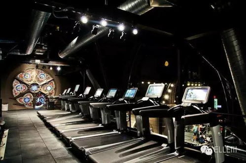 美国枪击案频发：从健身房到边境，暴力为何屡禁不止？