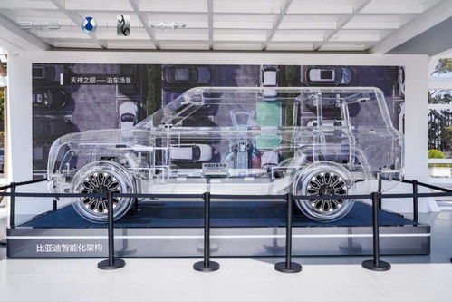 纯视觉向左融合感知向右，智能辅助驾驶技术博弈升级